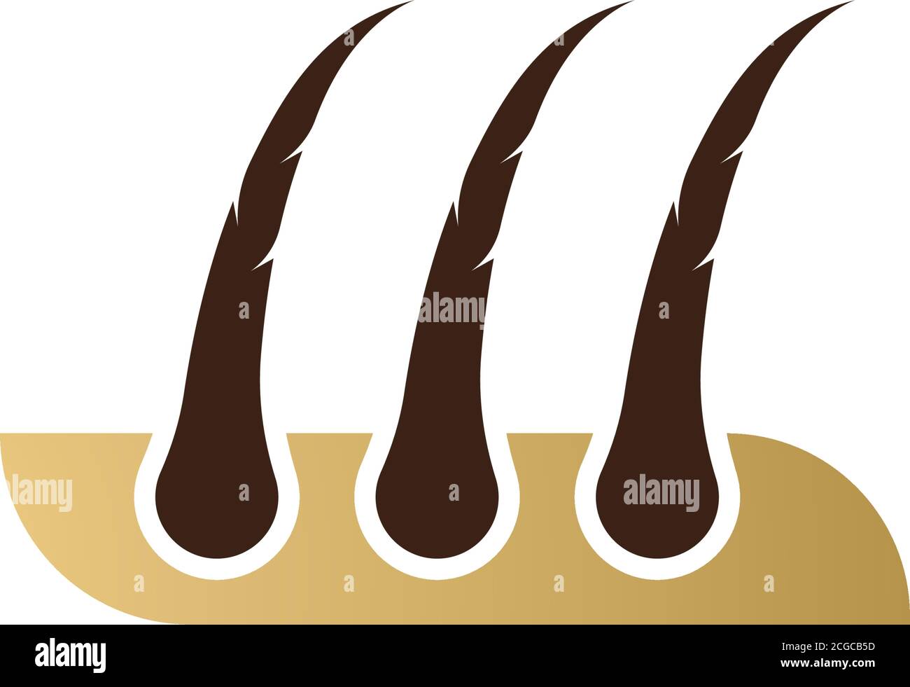 hair follicle symbol icon vector illustration design Stock Vector Image