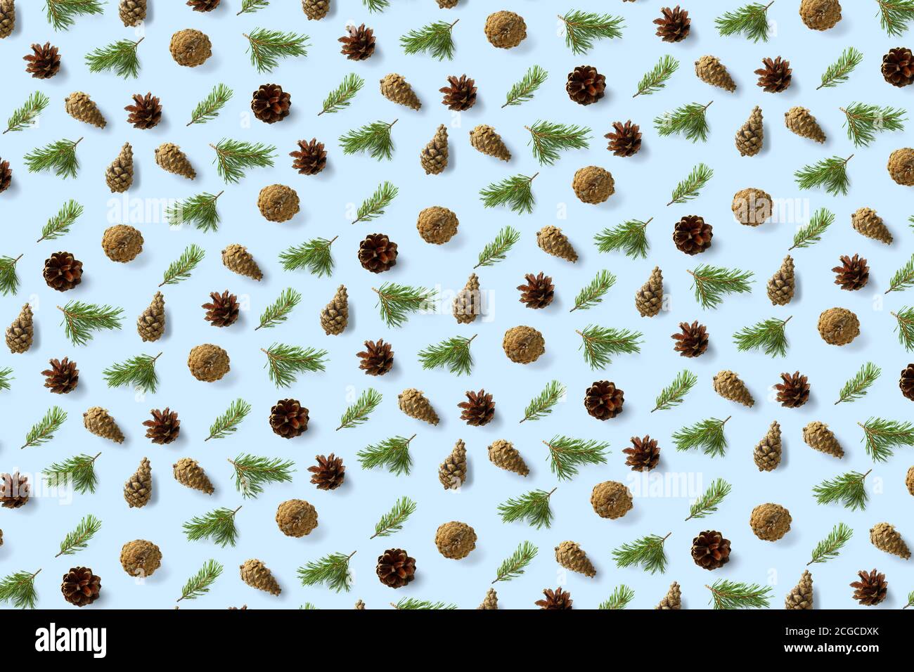 Pine cone Christmas background on blue. Pine branches and cones. minimal creative cone arrangement pattern. flat lay, Modern christmas Background. Stock Photo
