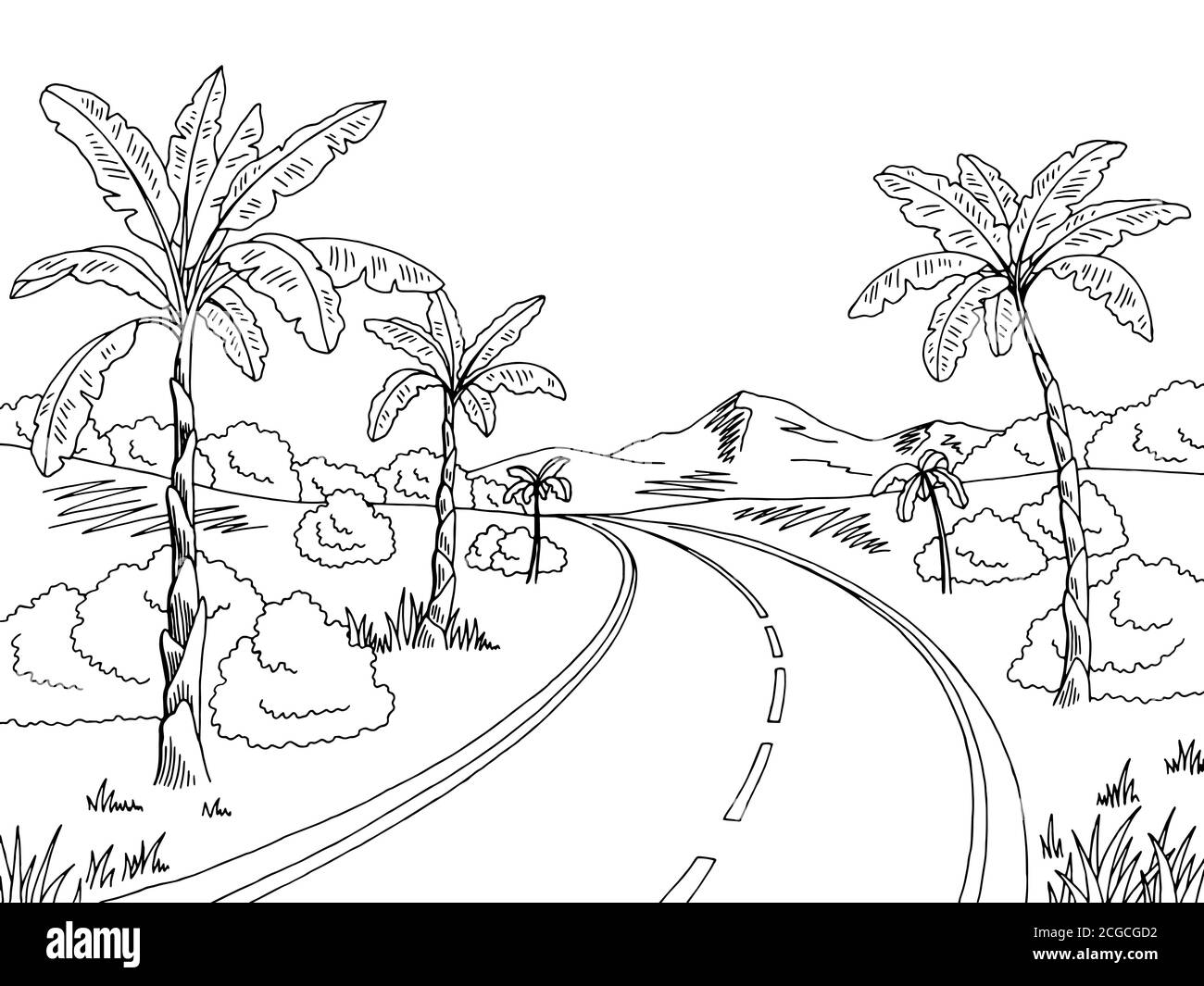 Jungle road graphic black white landscape sketch illustration vector Stock Vector