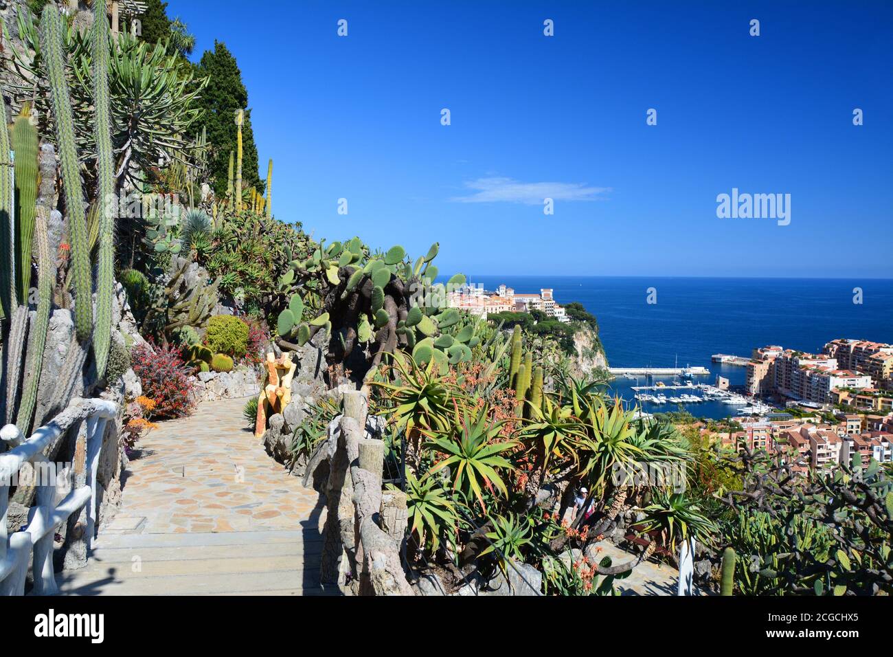 Scenic view on Monaco, Fontvieille from beautiful exotic garden. Stock Photo