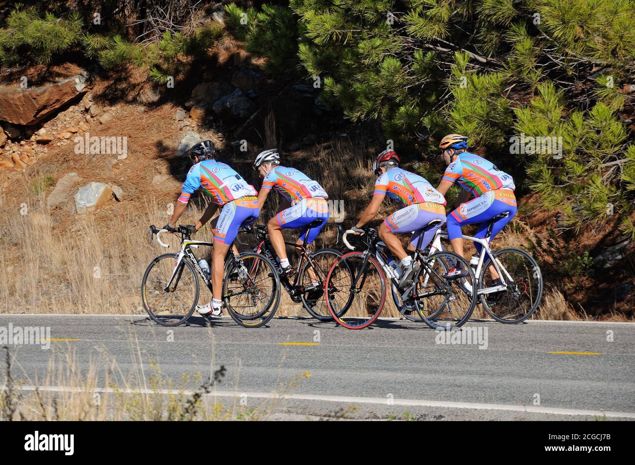 Four cyclists on a mountain road, Puerto de Alijar, Malaga Province, Andalucia, Spain, Europe. Stock Photo