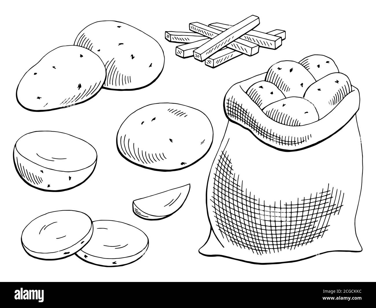 Potatoes vegetable graphic black white isolated sketch illustration vector Stock Vector Image