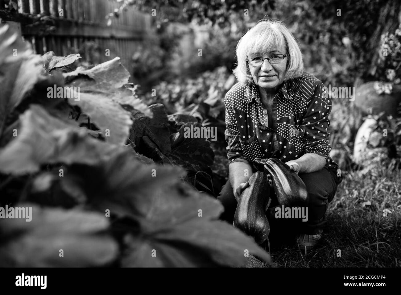 Woman with a zucchini in his garden. Black and white photography. Stock Photo