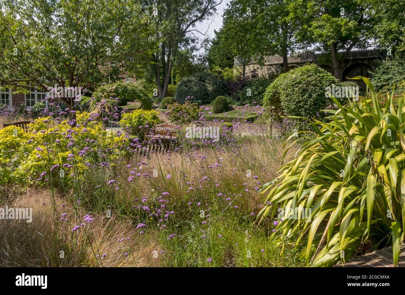 Sensory garden in the grounds of St Anthony's Hall in summer York North Yorkshire England UK United Kingdom GB Great Britain Stock Photo