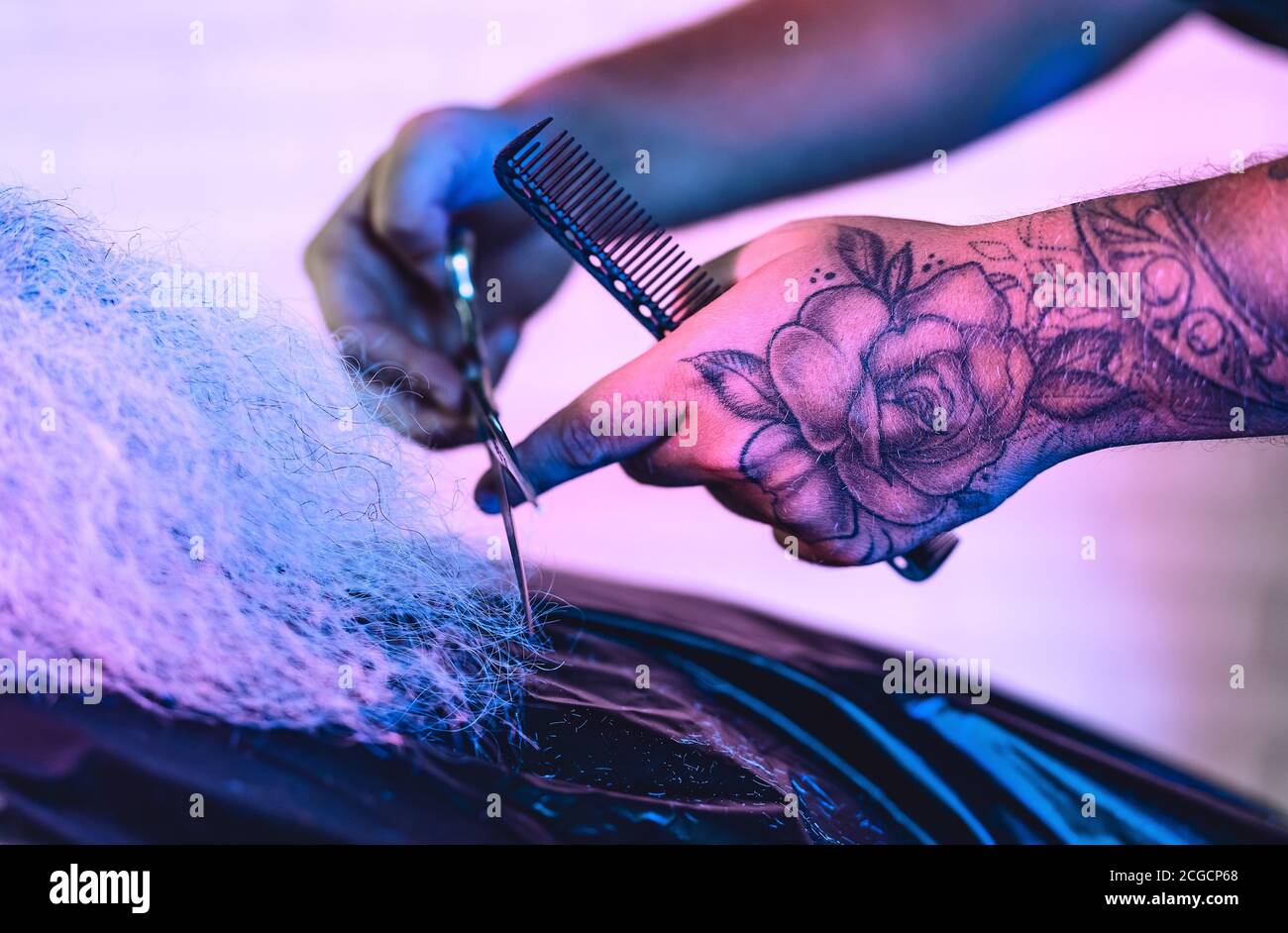 Close up barber tattooed male hands cutting large beard to client - Hairdresser working in barbershop - Hairstylist concept Stock Photo