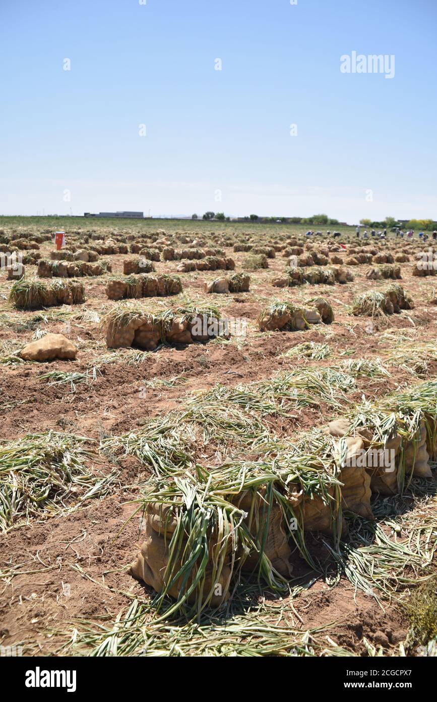 Tolleson, AZ. U.S.A. 4/10/2020. Rousseau Farming. John Deere 2277130 w