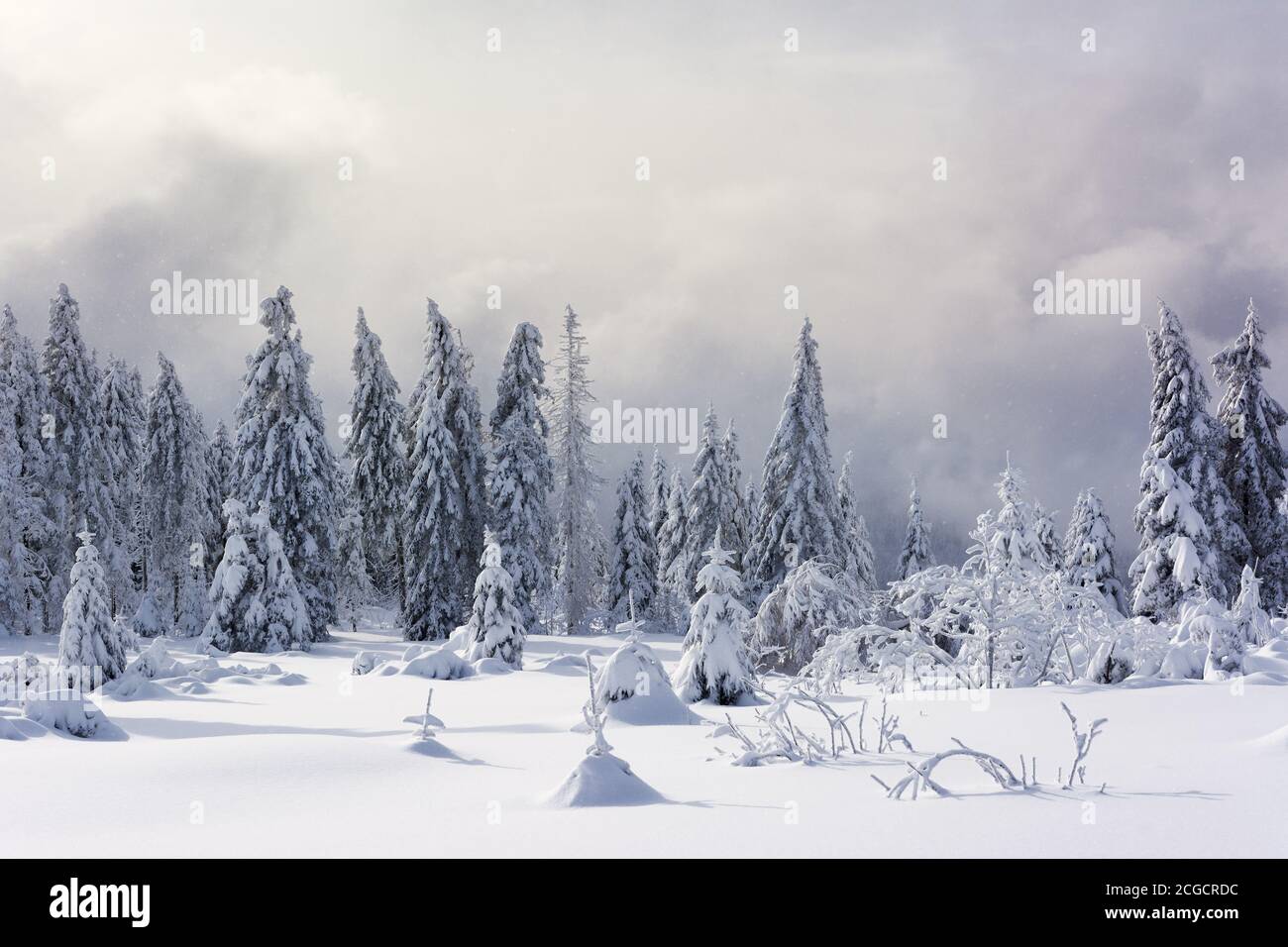 Wintertime - Black Forest. Winter landscape with road covered by snow ...