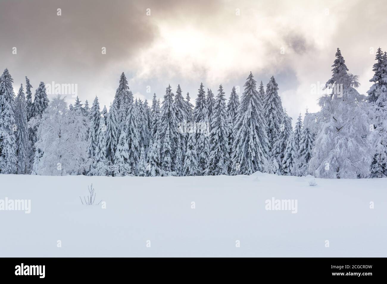 Wintertime - Black Forest. Winter landscape with road covered by snow ...