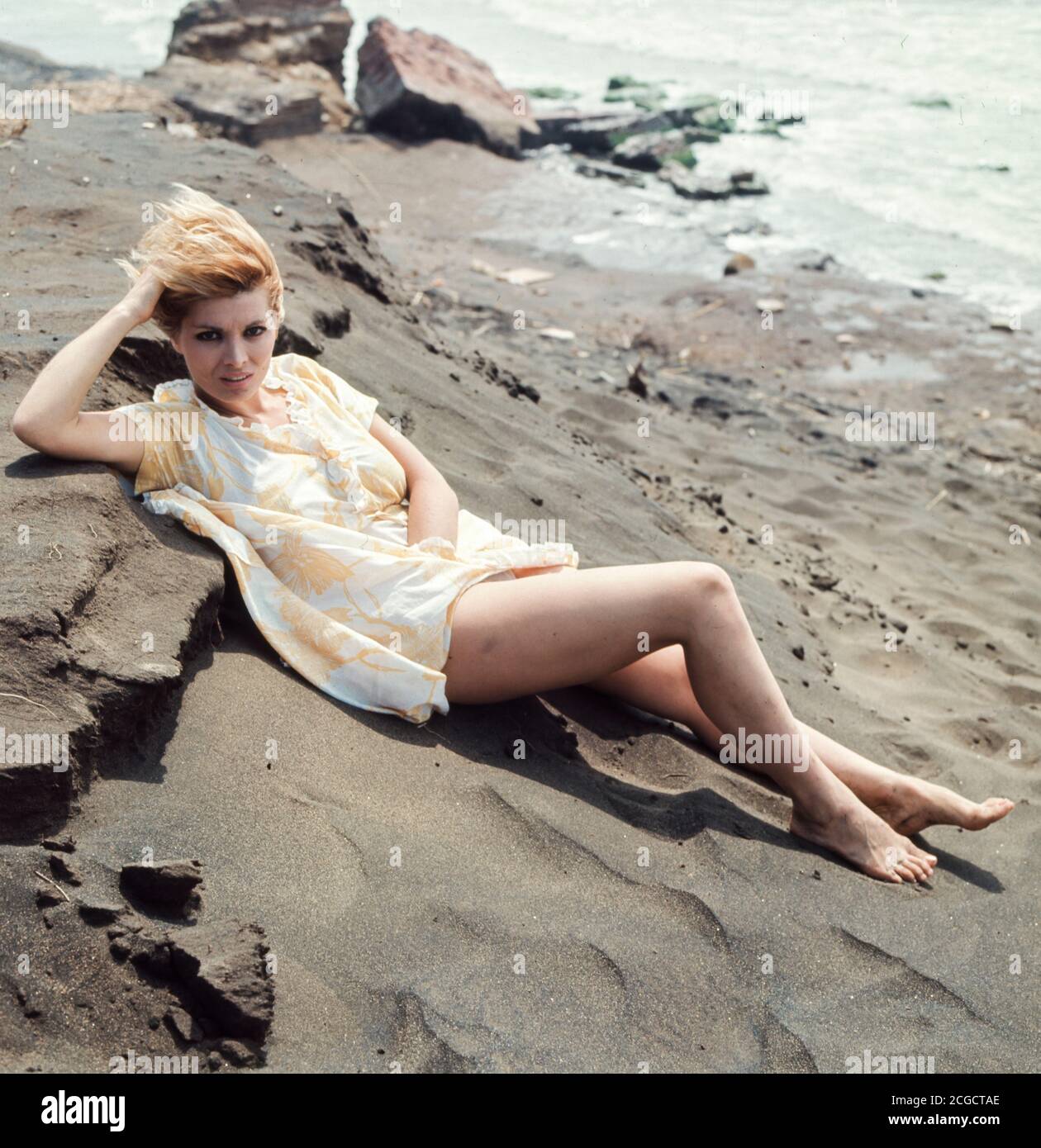 Scilla gabel hi res stock photography and images Alamy