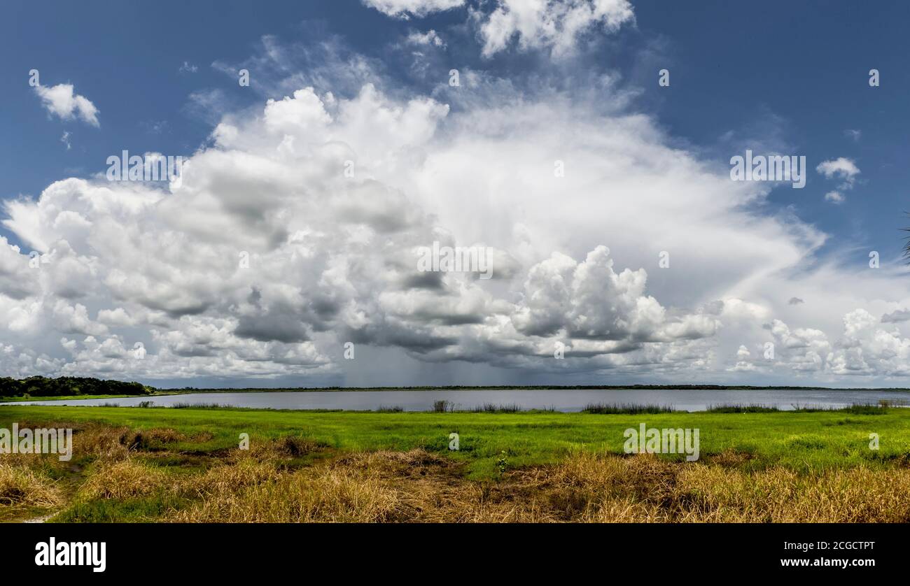 Large white summer storm clouds over Upper Myakka Lake in Myakka River State Park in Sarasota Florida USA Stock Photo