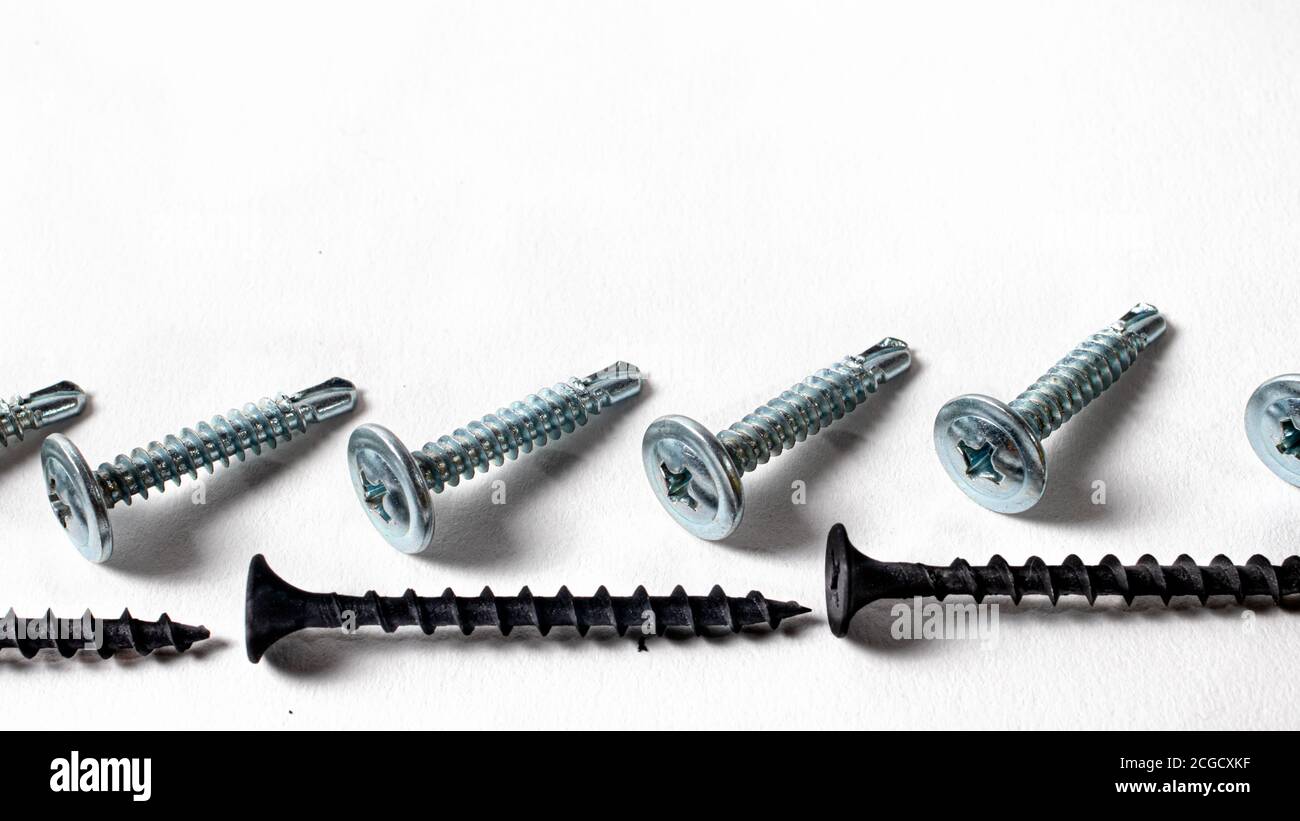 Self-cutters on a white background banner with space for text. Construction tools, self-tapping screws for fastening. Black screw hardware Stock Photo