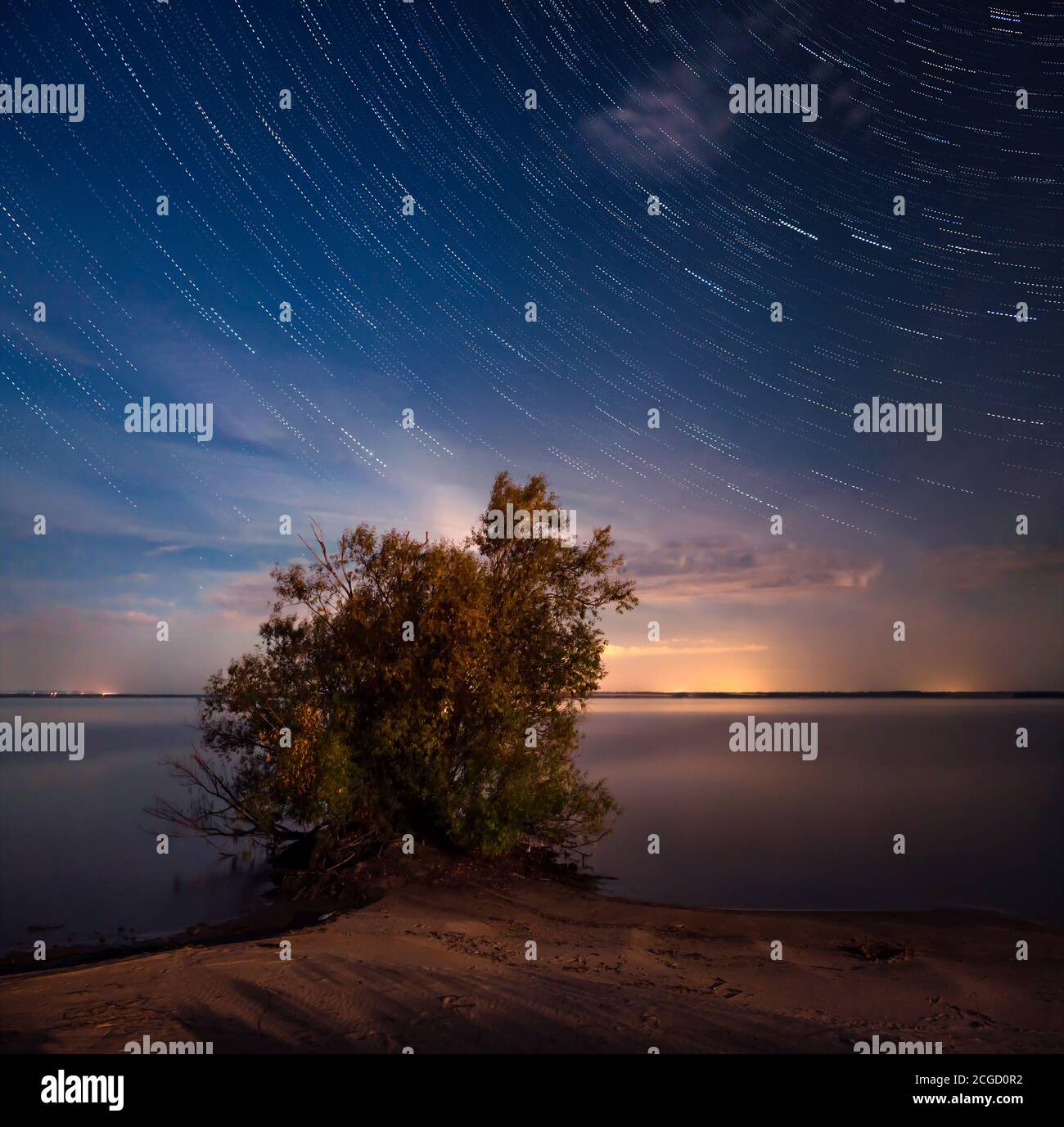 willow tree on beach by river lit by fire light against star trails in sky Stock Photo