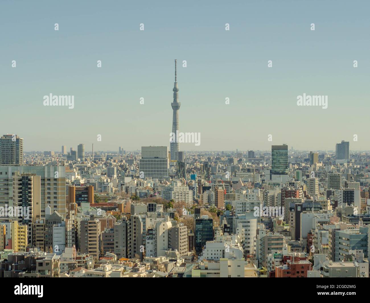 Tokyo skyline. Tokyo Skytree from Bunkyo center, aerial city view Stock Photo