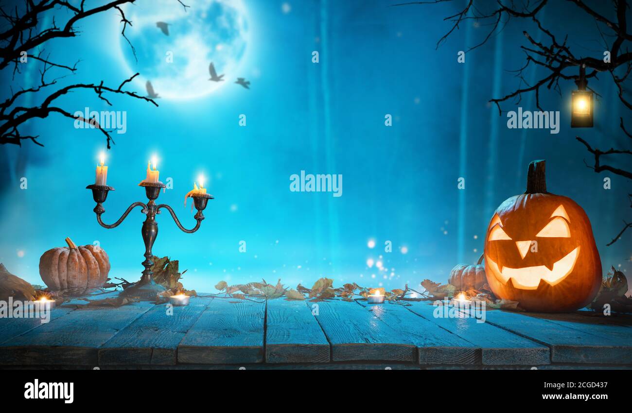 Spooky halloween pumpkin in forest. Scary halloween background with free space for text. Stock Photo