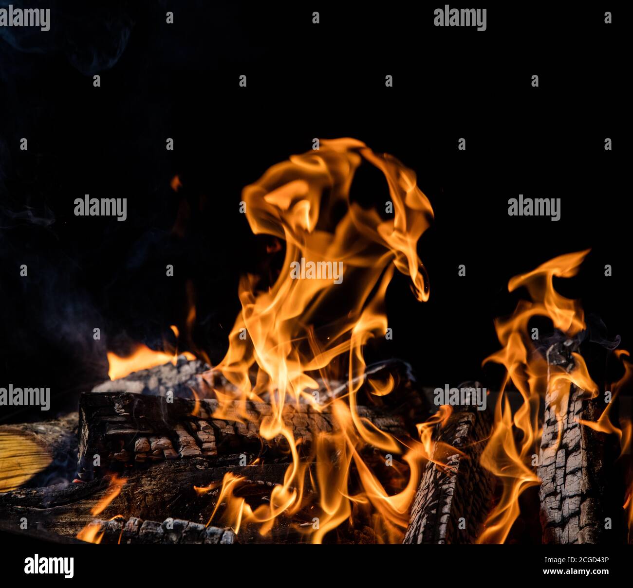 Burning wooden logs in fire, campfire isolated on black background ...