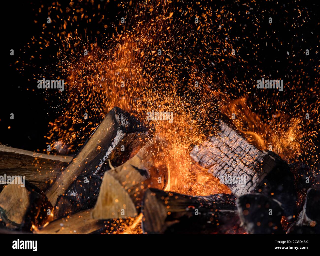 Burning wooden logs in fire, campfire isolated on black background ...