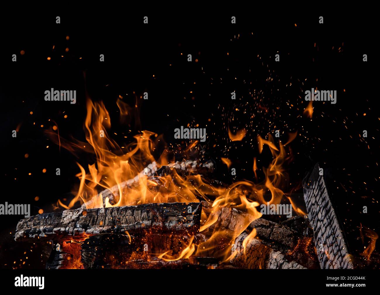 Burning wooden logs in fire, campfire isolated on black background ...