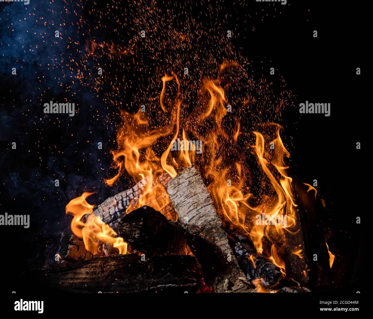 Burning wooden logs in fire, campfire isolated on black background ...