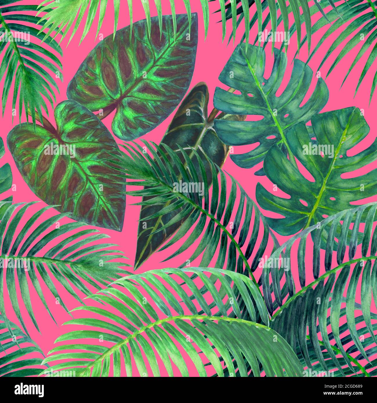 Watercolor abstract summer seamless pattern with tropical plants on pink background. Watercolour hand drawn exotic leaves Palms, Monstera, Philodendro Stock Photo