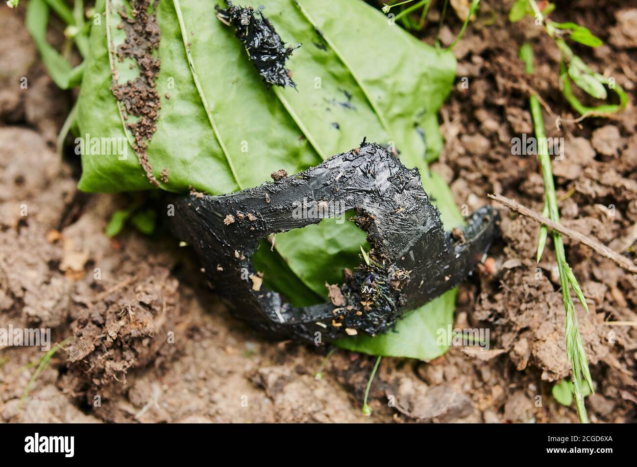 Old damaged CV joint duster close up fallen into the mud on the road