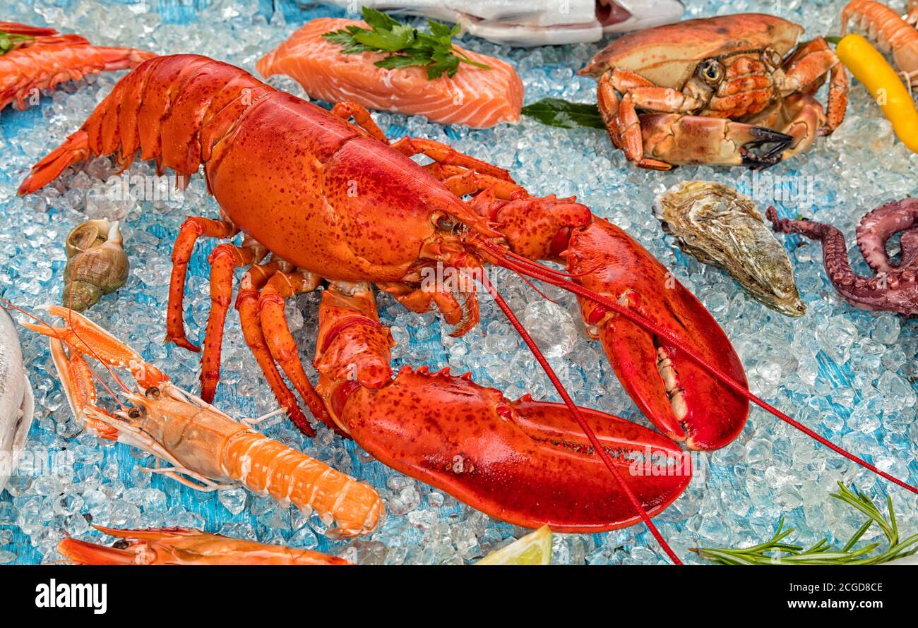Whole lobster with seafood, crab, prawns, oyster and other shells