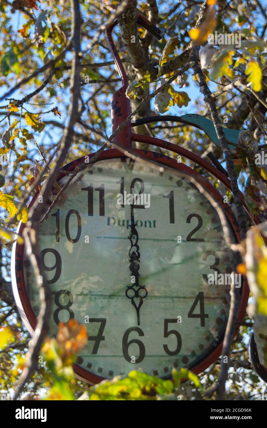 Vintage clock Dupont hanging on tree with six hours time Stock Photo
