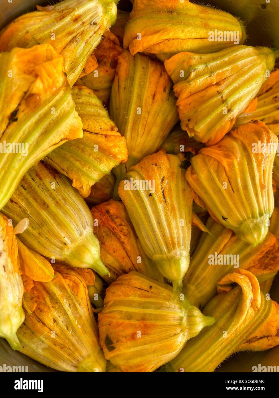 Cooking stuffed zucchini flowers, squash blossom. Turkish delicacy stuffed with rice, tomato