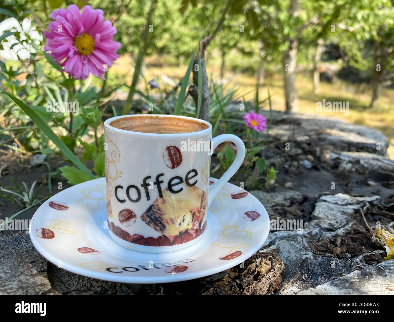 Cappuccino Coffee Mug, Daisy Flower Pattern Coffee Cup, Breakfast Milk –  Paintingforhome
