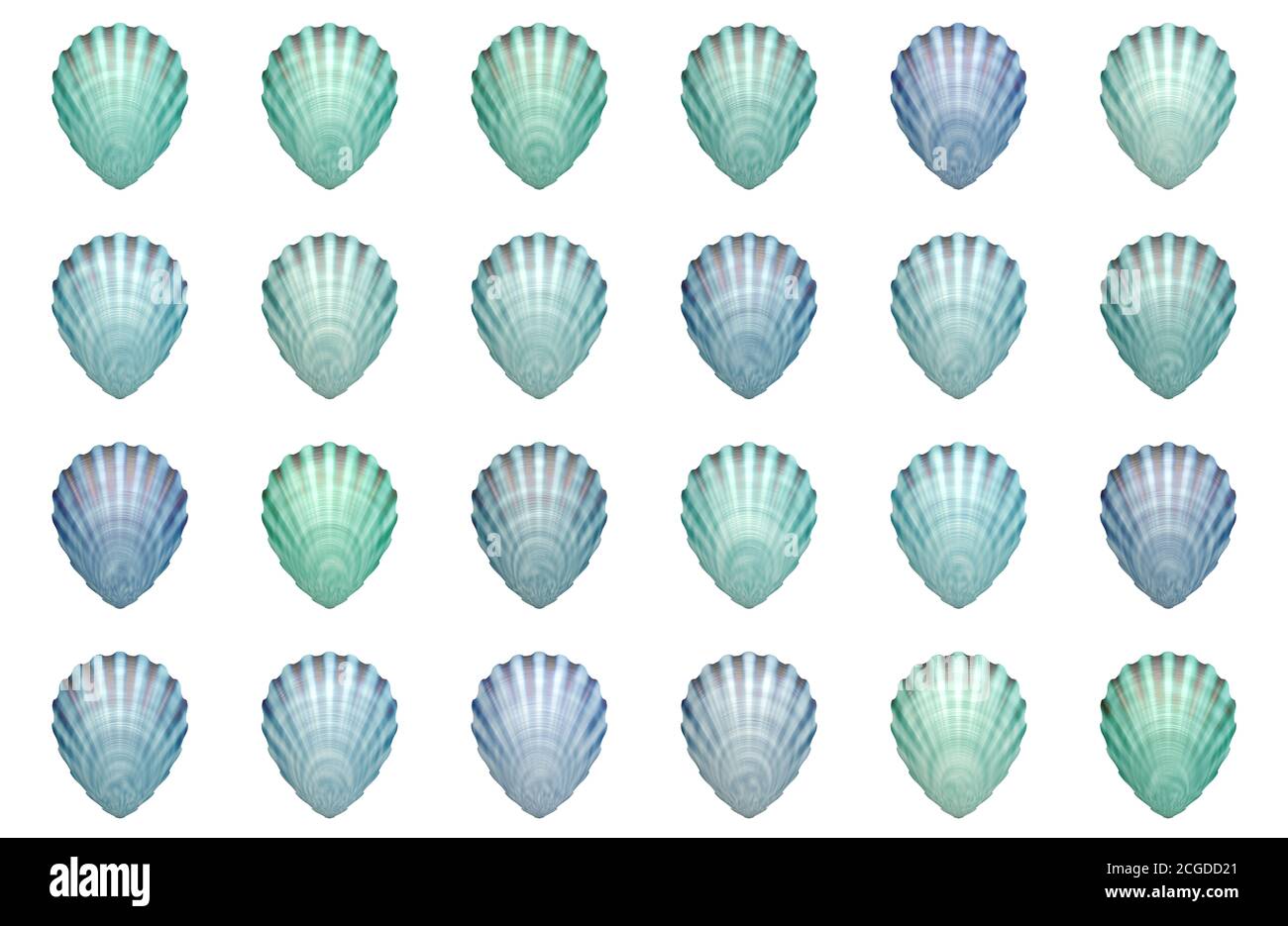 sea shell shellfish Stock Photo Alamy