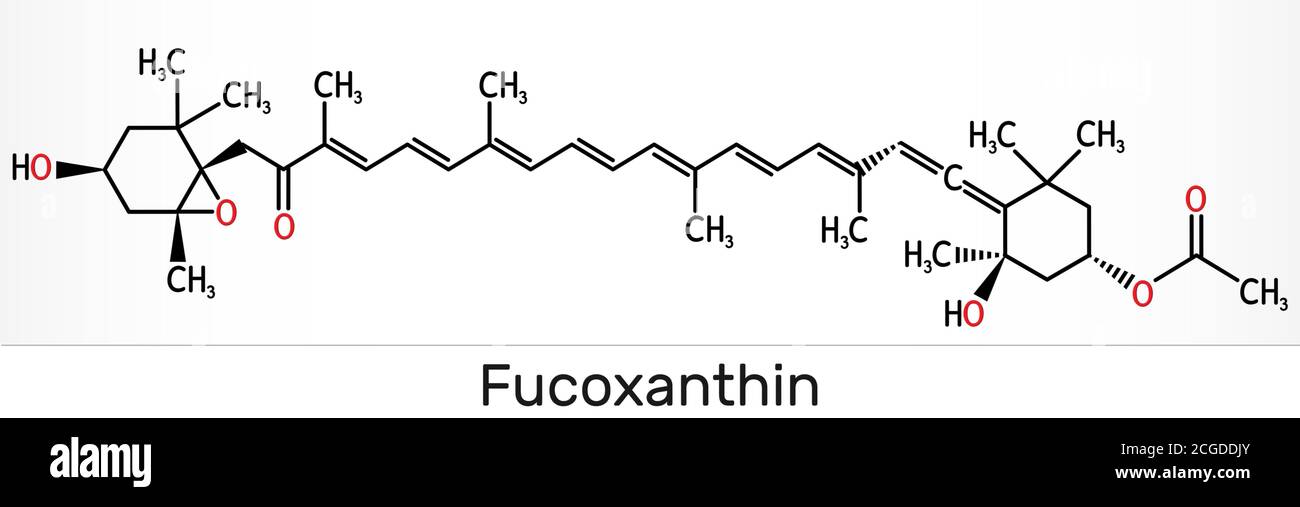 Fucoxanthin, C42H58O6, xanthophyll molecule. It has anticancer, anti-diabetic, anti-oxidative, neuroprotective properties. Skeletal chemical formula. Stock Photo