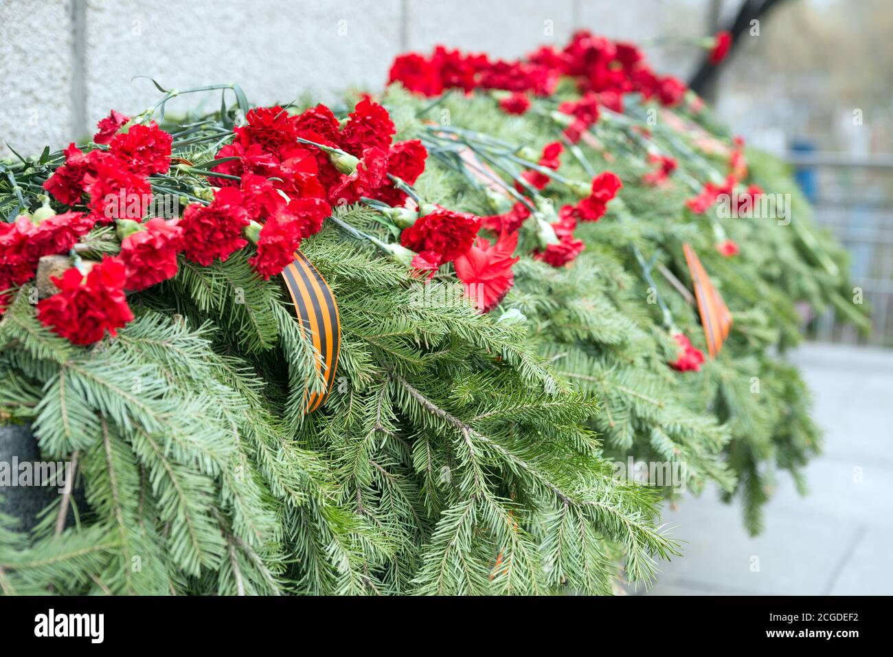 Solemn funeral coniferous garland with carnation flowers and St.
