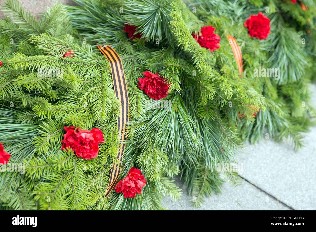 Solemn funeral coniferous garland with carnation flowers and St. George ribbon Stock Photo