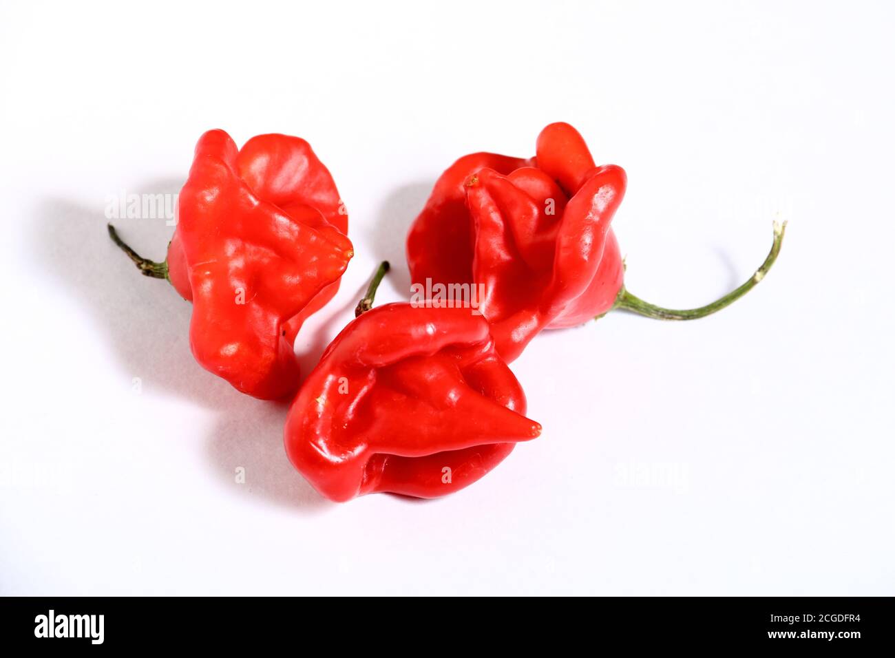 Capsicum baccatum is a species of chili pepper that includes the following cultivars Stock Photo