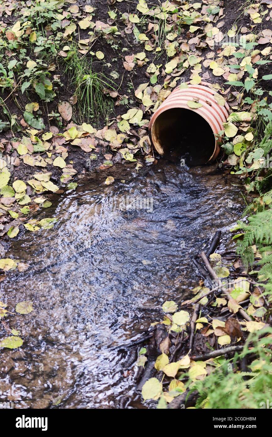 Water flows from the plastic pipe culvert in the park in the early fall Stock Photo