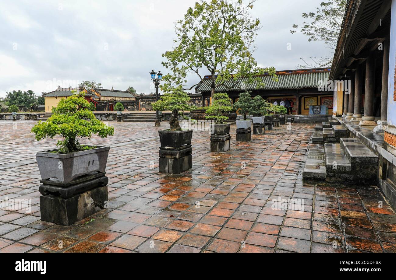 Bonsai trees in pots at The Imperial City, a walled enclosure within