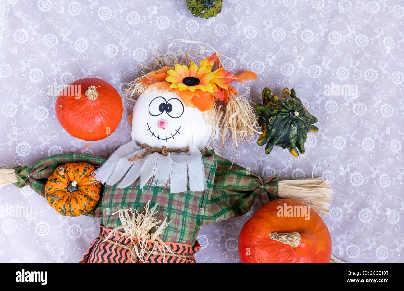 Scarecrow, Pumpkin To Celebrate Halloween And Thanksgiving. Harvest And  Fall Concept Stock Photo - Alamy