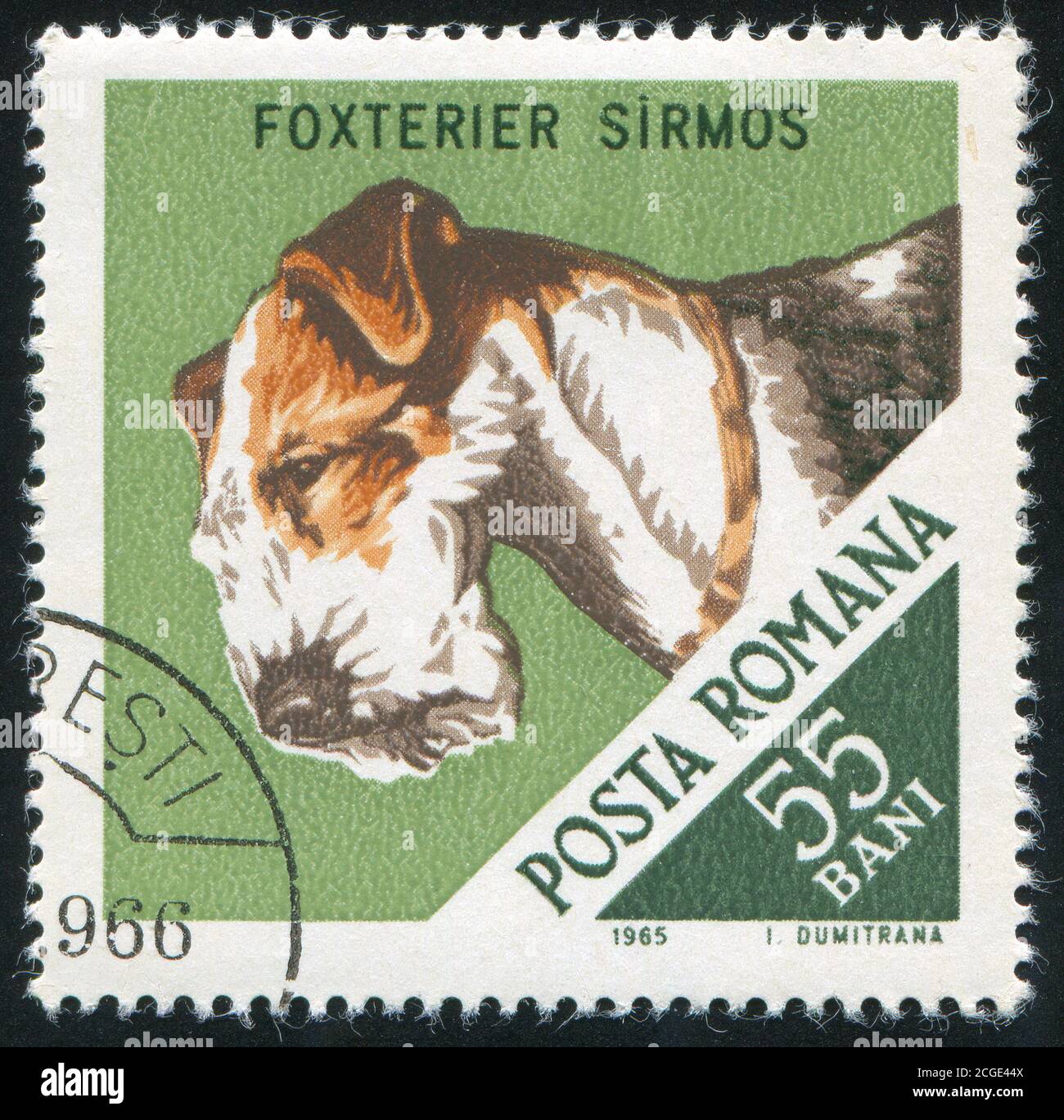 Dog Art Head & Body Portrait Postage Stamp YORKSHIRE TERRIER Romania 1990 MNH 