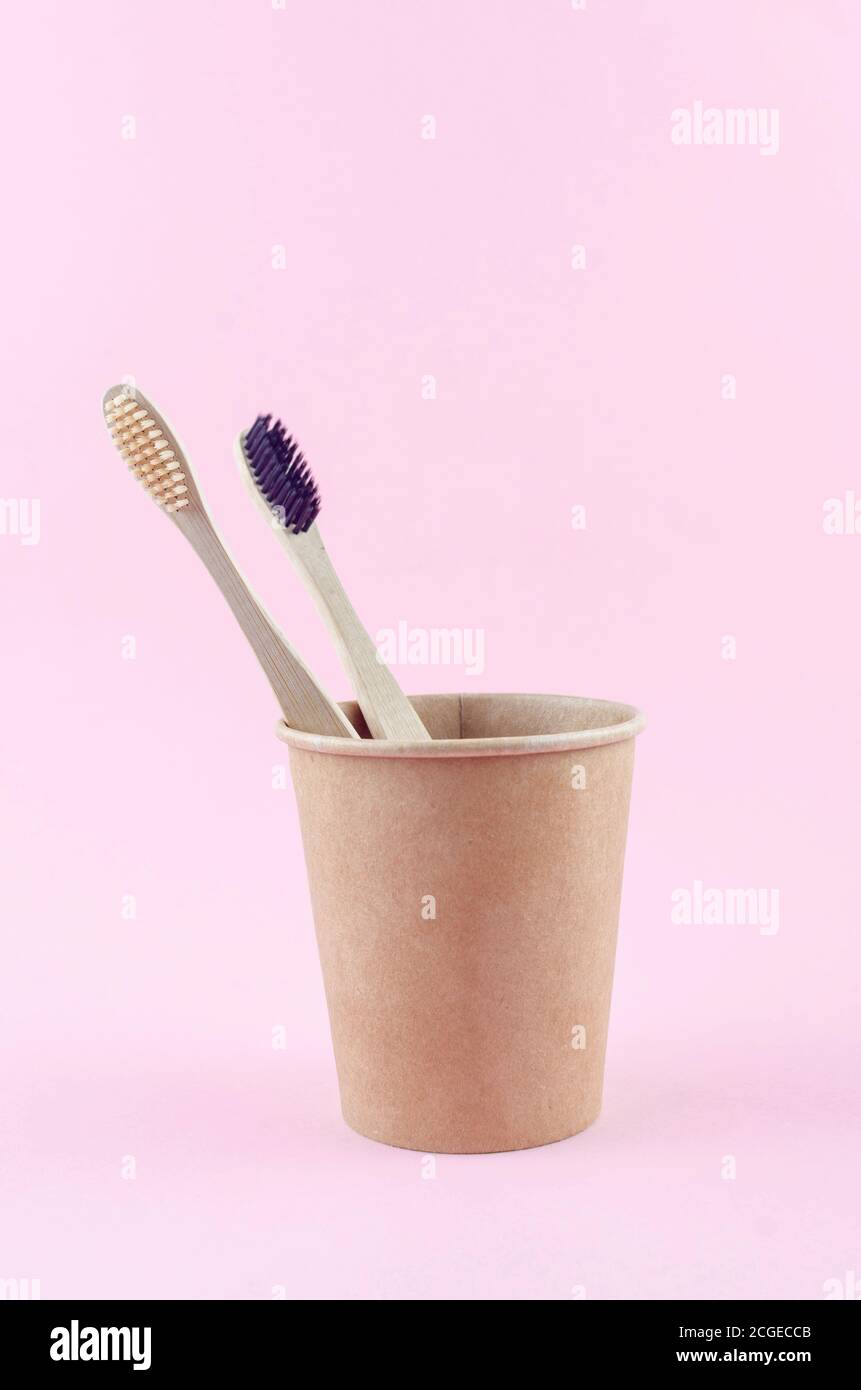 Natural organic ECO friendly bamboo toothbrushes in craft paper holder ...