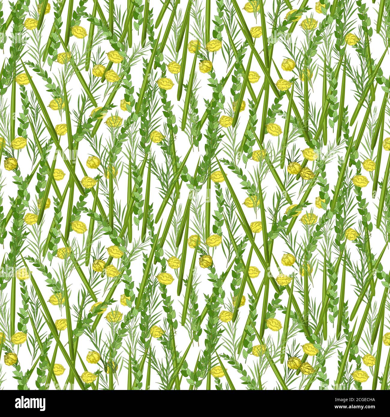 Traditional Jewish Holiday Sukkot seamless pattern. Jewish torah Lulav