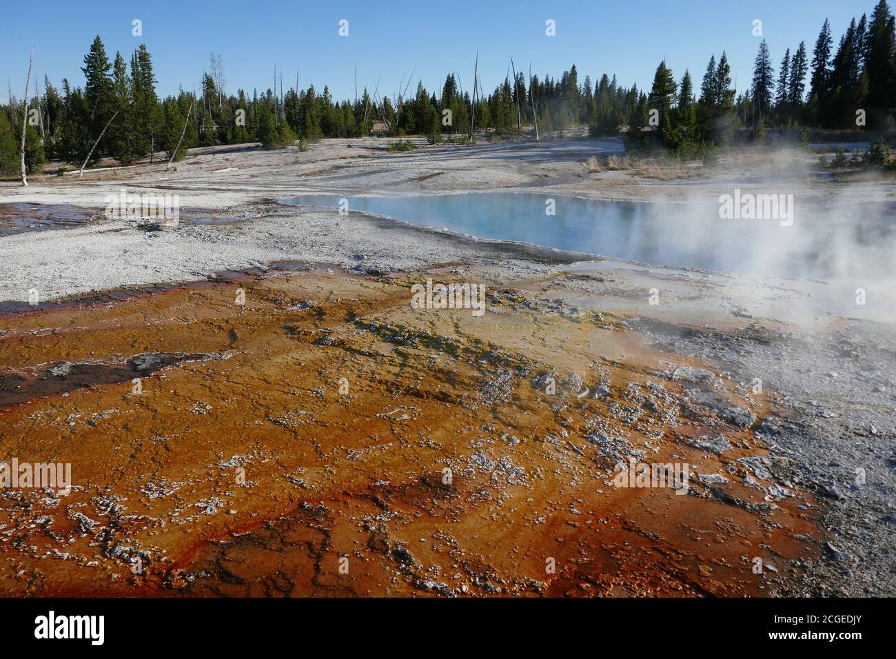 Black Pool run out, West Thumb Geyser Basin, Yellowstone national Park Stock Photo