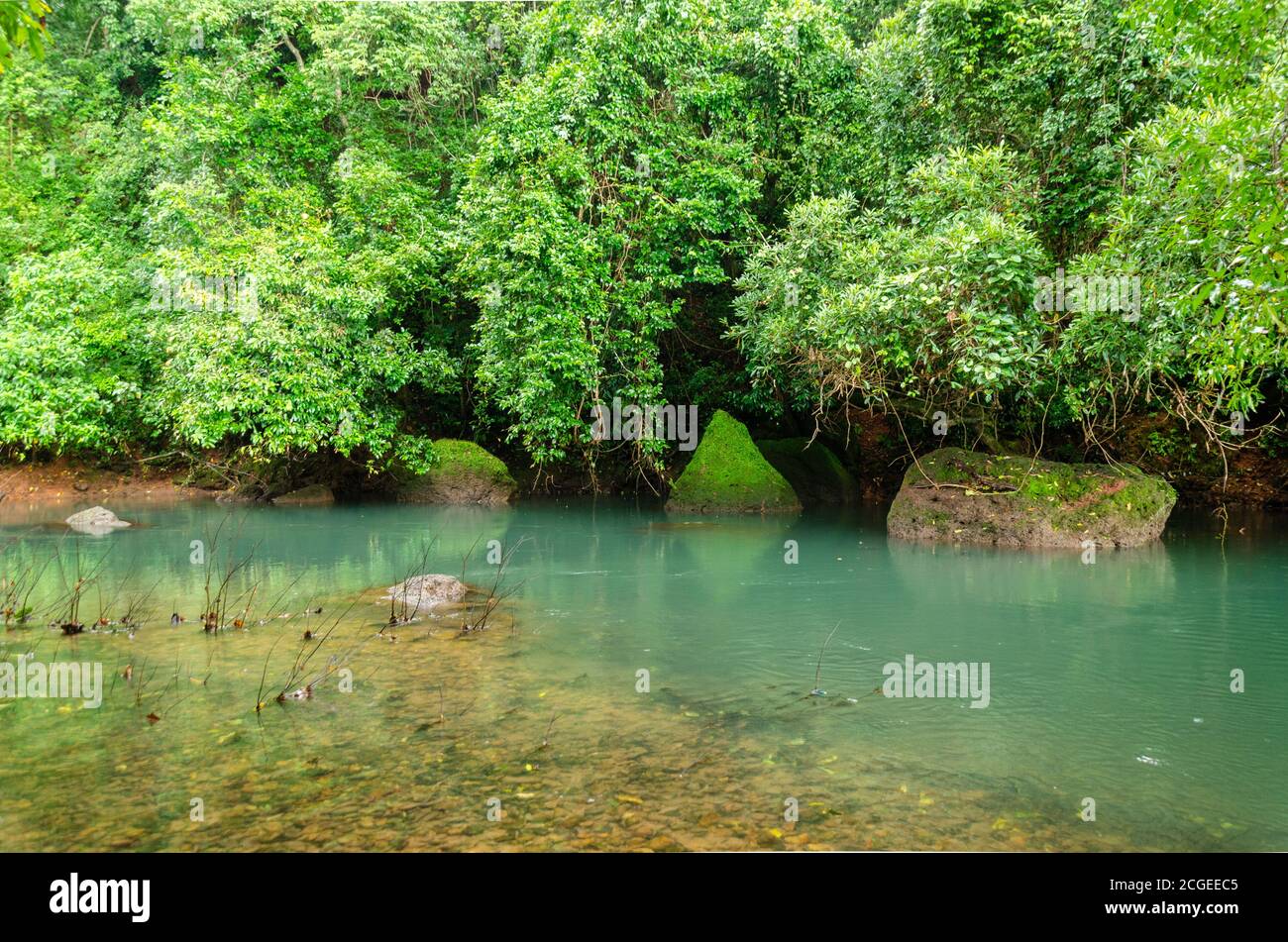 Serene location with flowing stream of water and greenery surrounding ...