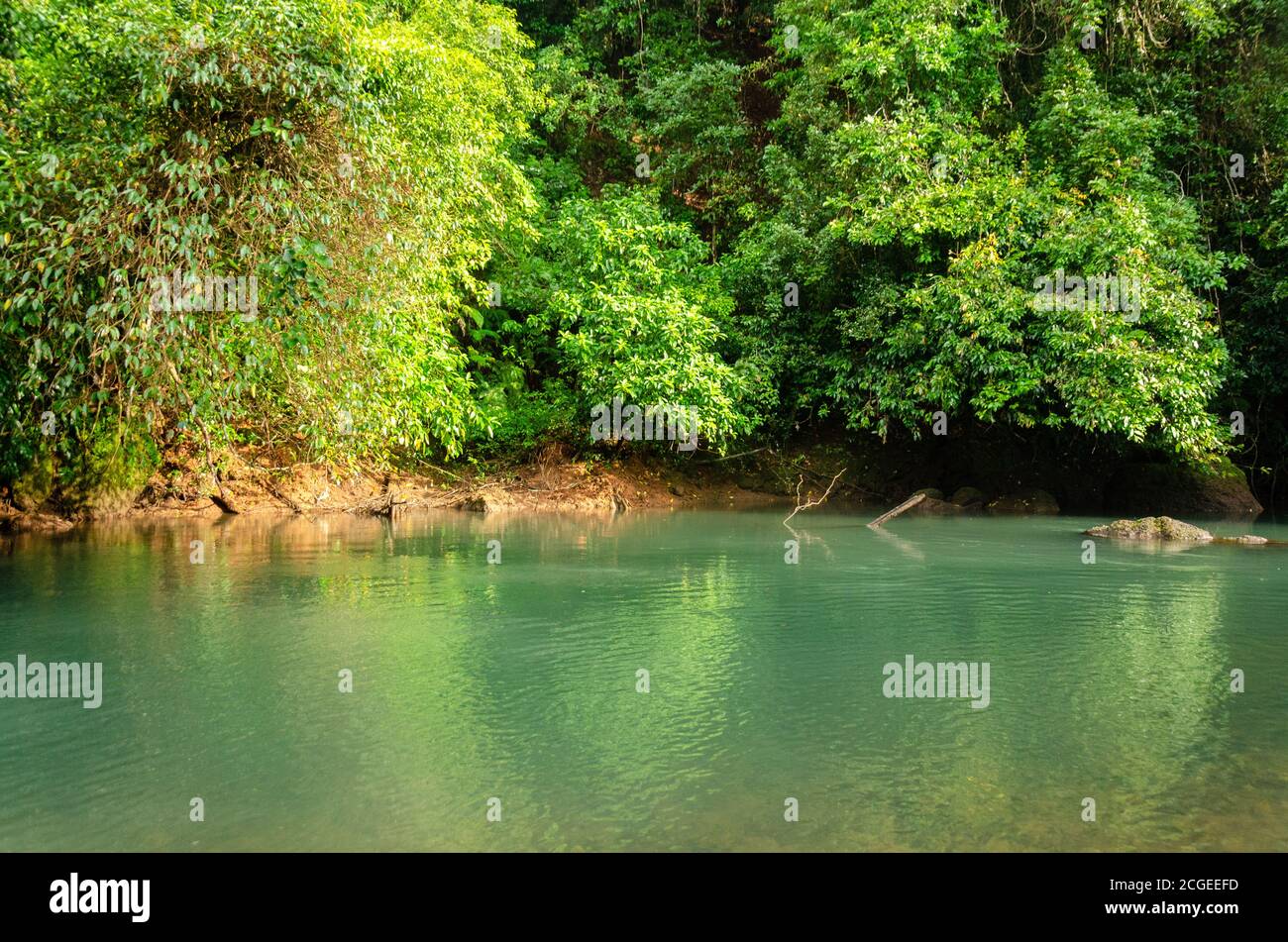 Serene location with flowing stream of water and greenery surrounding ...