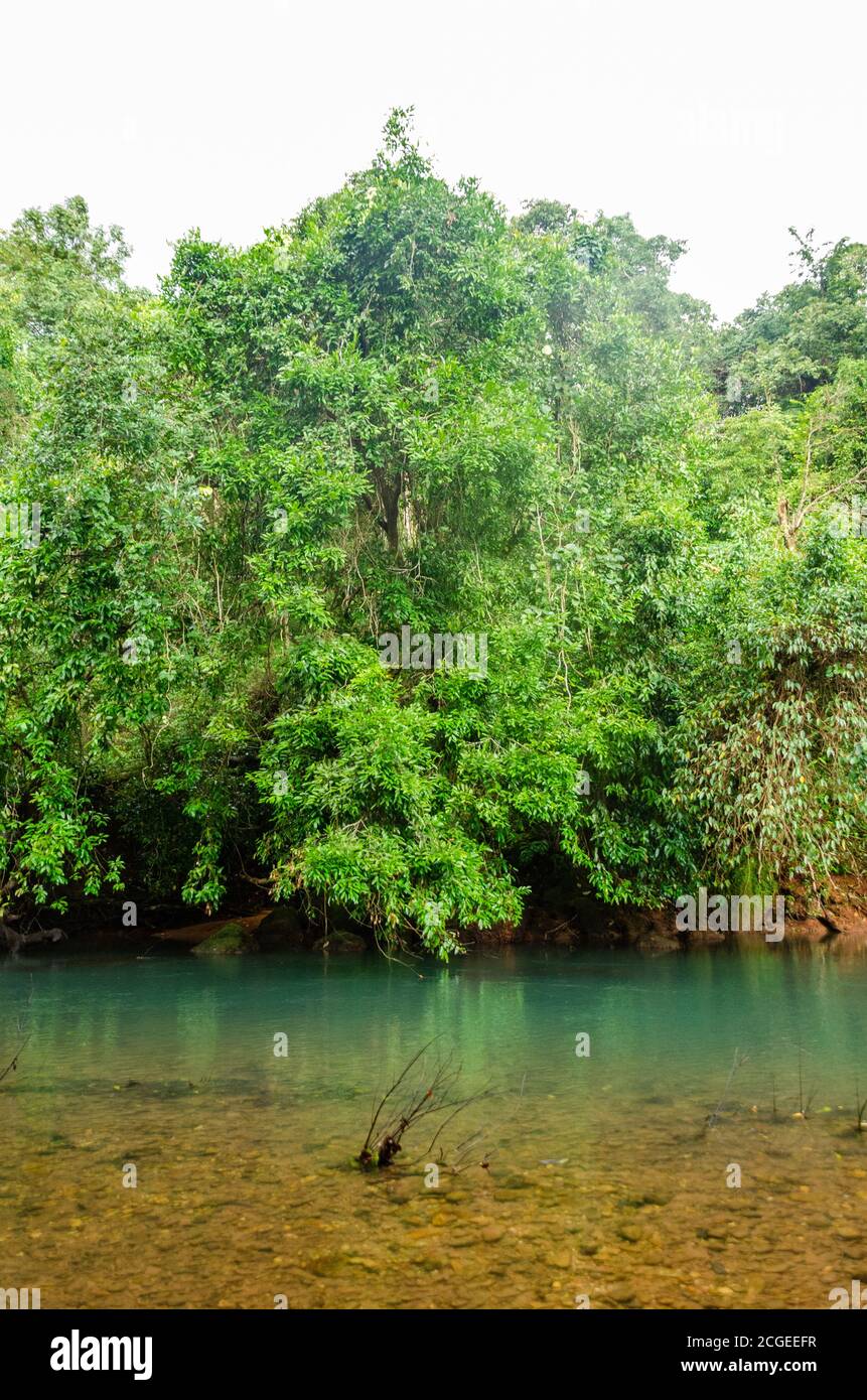 Serene location with flowing stream of water and greenery surrounding ...
