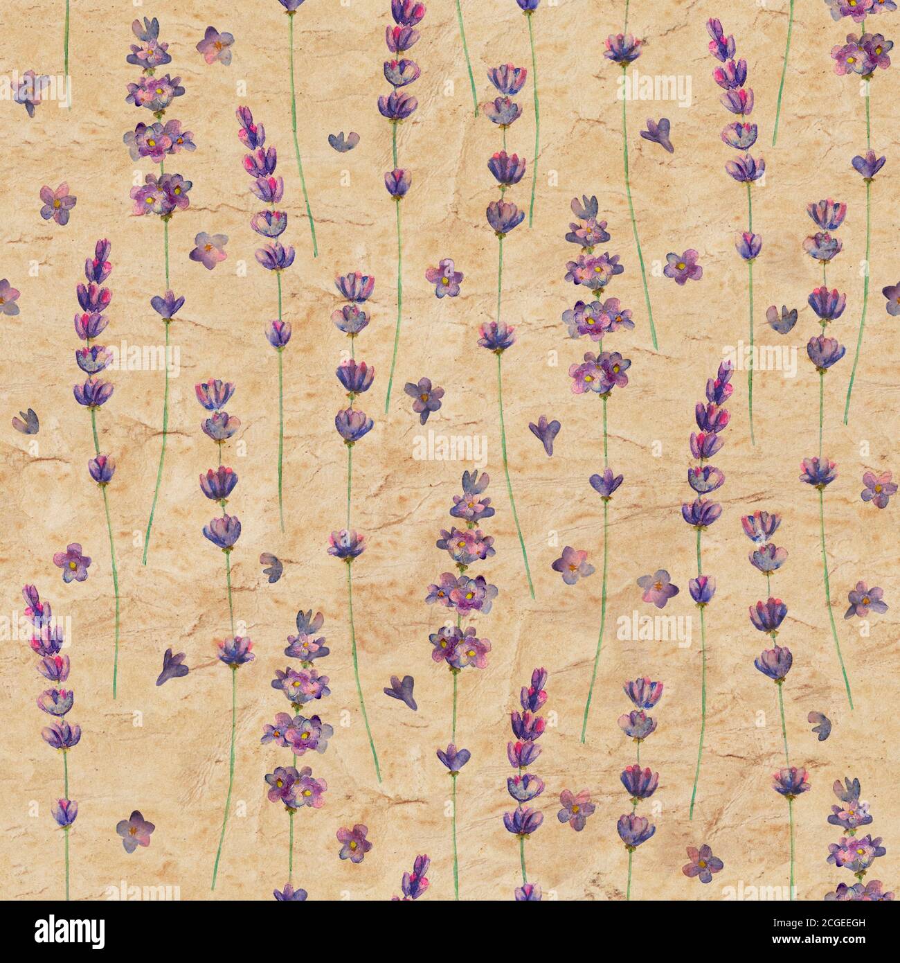 Lavender flowers watercolor seamless pattern on yellow brown color old ...