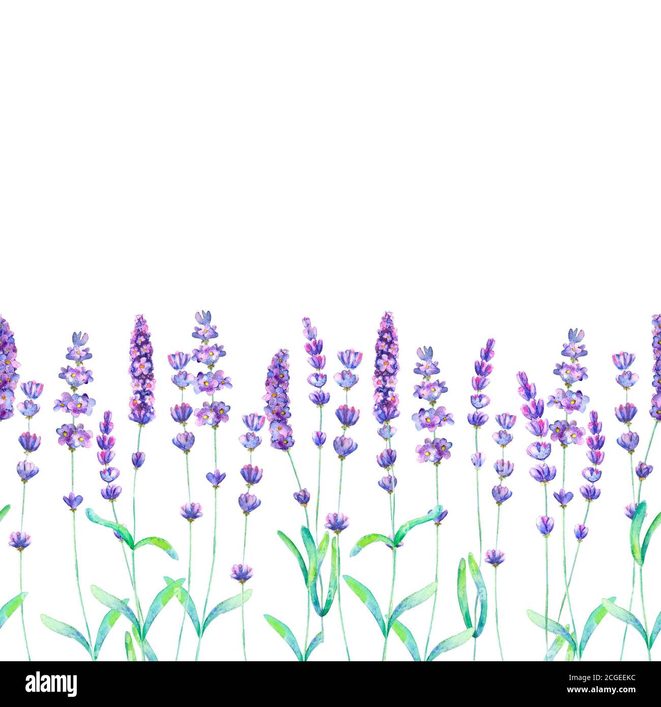 Lavender flowers, leaves and branches watercolor seamless pattern on ...