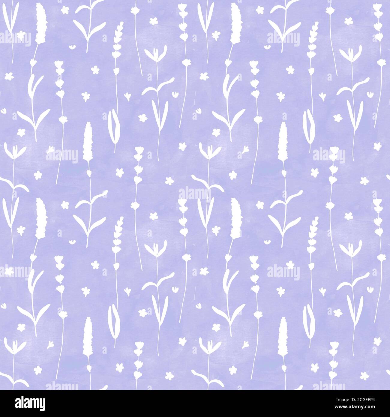 Lavender flowers white silhouettes seamless pattern on purple watercolor background. Watercolour hand drawn floral texture. Print for textile, wallpap Stock Photo