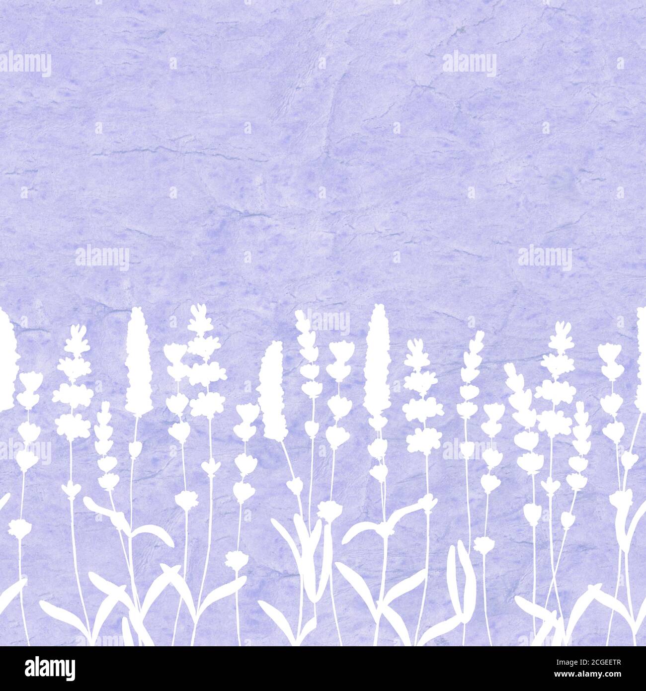 Lavender flowers white silhouettes seamless pattern on purple watercolor background. Watercolour hand drawn floral texture. Print for textile, wallpap Stock Photo