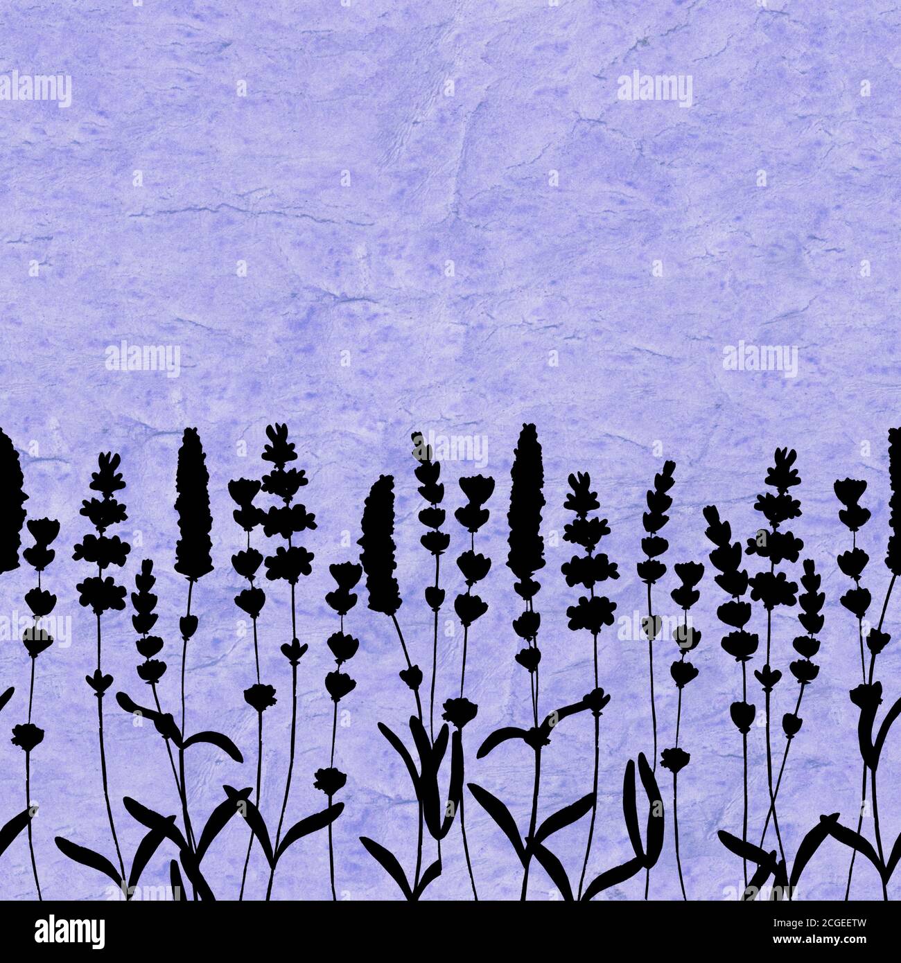 Lavender flowers black silhouettes seamless pattern on purple watercolor background. Watercolour hand drawn floral texture. Print for textile, wallpap Stock Photo