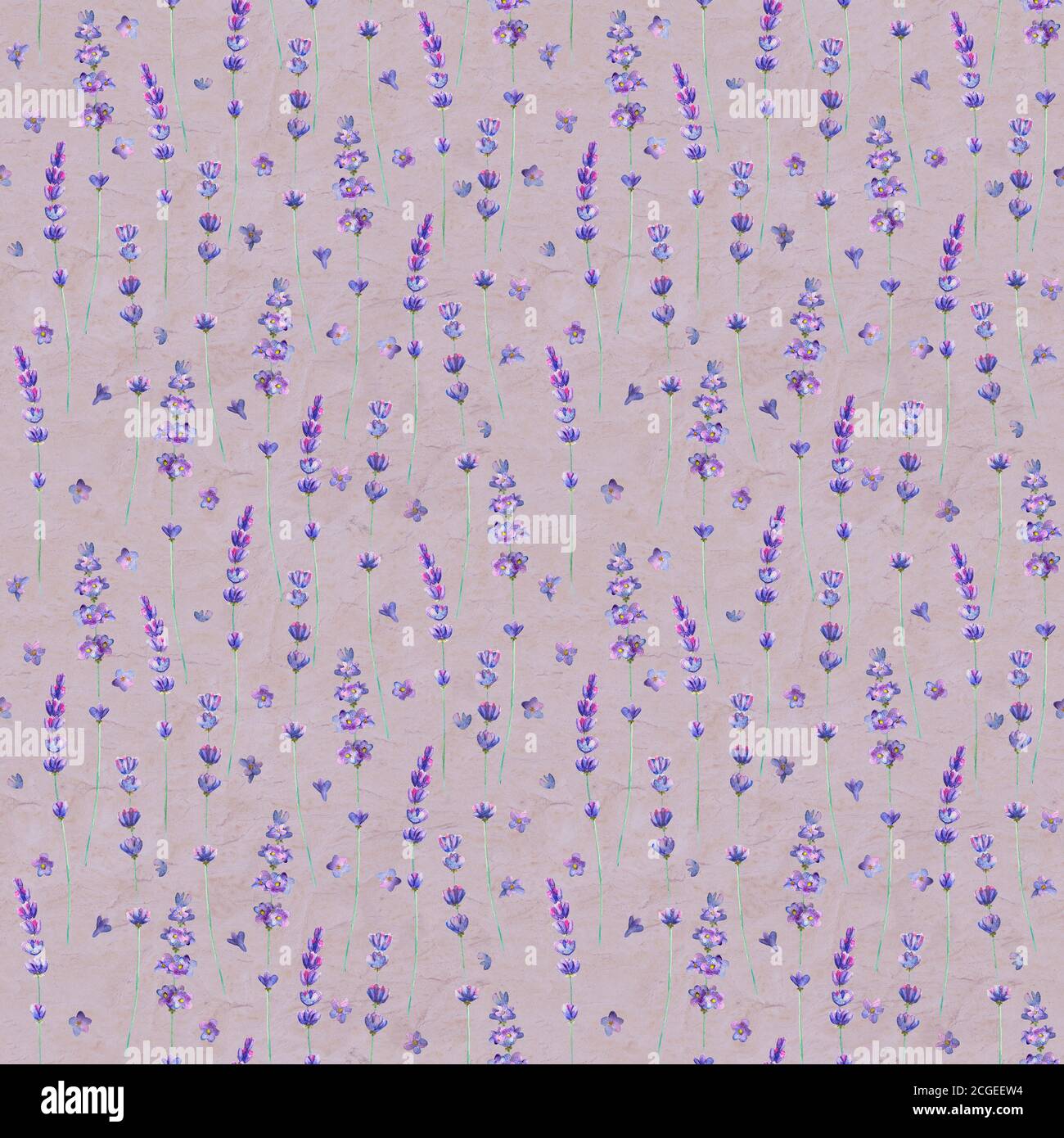 Lavender flowers watercolor seamless pattern on gray purple color old ...