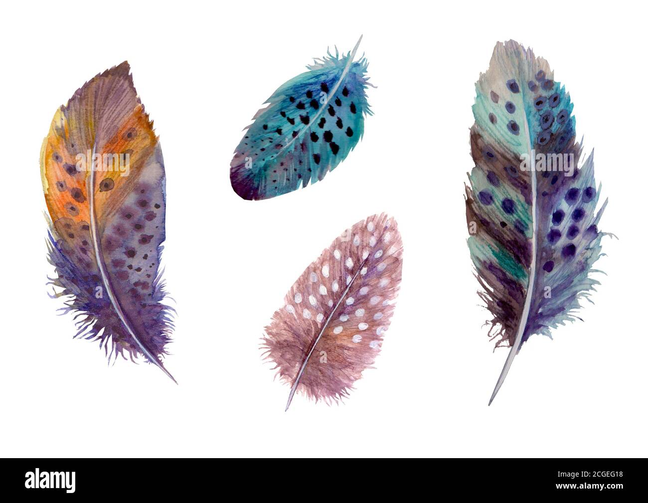 Watercolor feathers set isolated on white. Hand drawn watercolour bird ...